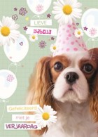 prodo dieren lieve gefeliciteerd met je verjaardag
